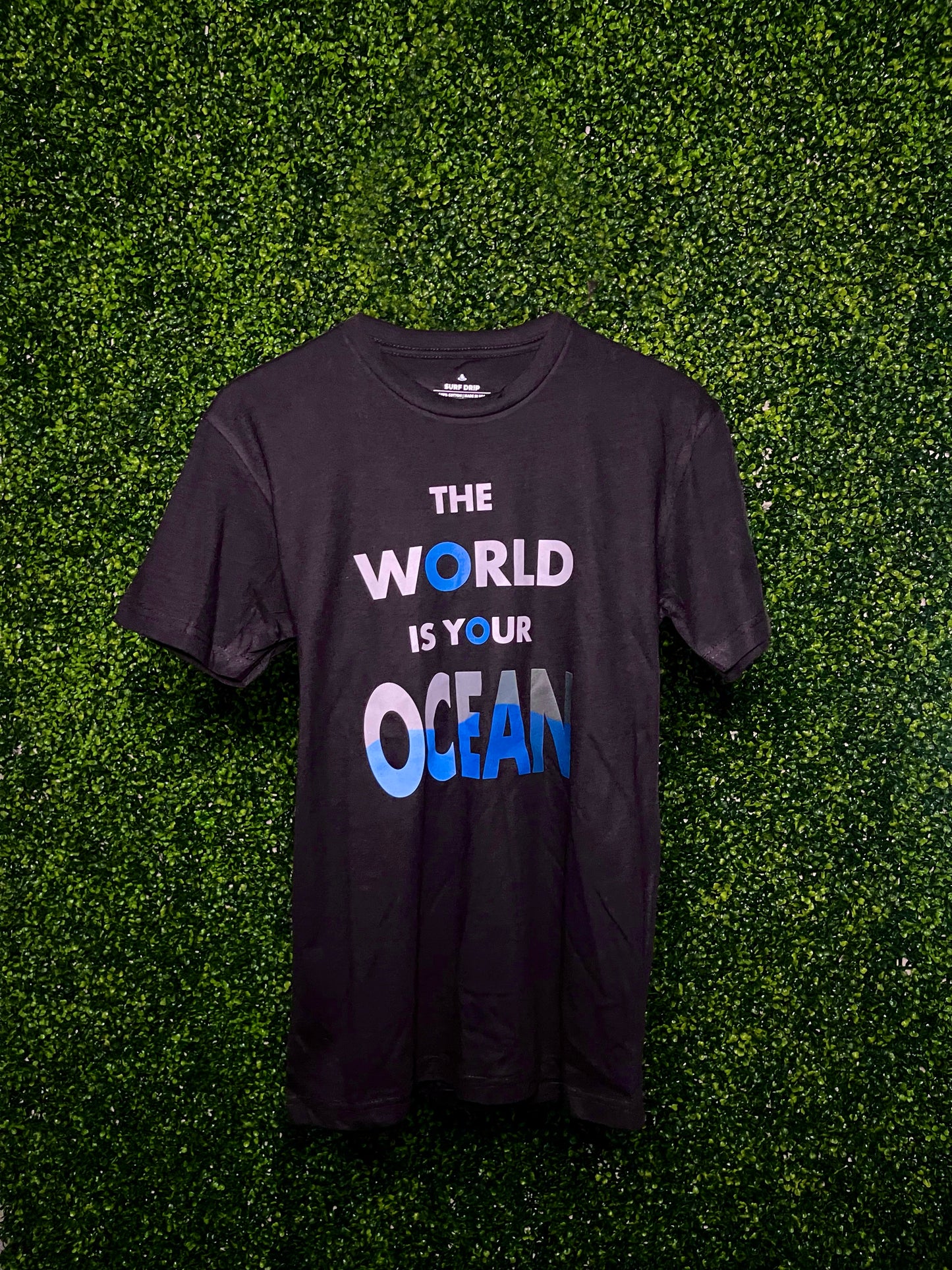 The World Is Your Ocean
